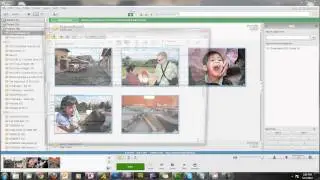 Picasa Part 2: Sharing and Printing Photos