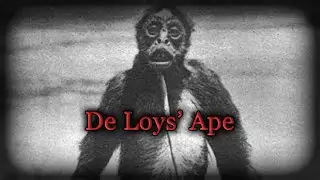 The Racist Cryptid | De Loys' Ape
