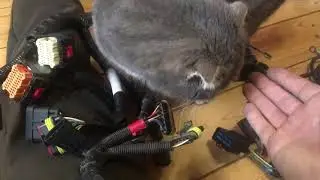 Замена ЭБУ Микас на Моторолу