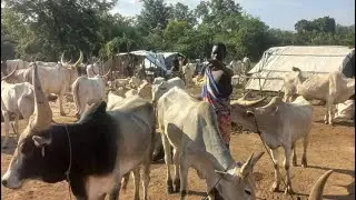 Abor Makur : Ayangdeen