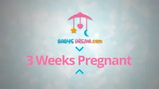 3 Weeks Pregnant | pregnancy signs and symptoms