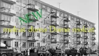 Molcat doma Doma molcat (super slowed)🧱 NEW🧱