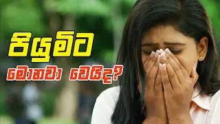 පියුමිට මොනවා වෙයිද ?