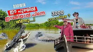 ഇത് മുതലയുടെ ലോകം  ഇവിടെ പെട്ടാൽ പെട്ടു  |Adelaide River Croc Cruises #australia #travel #malayalam