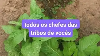 Os Dez Mandamentos, Deuteronômio 5:1-33