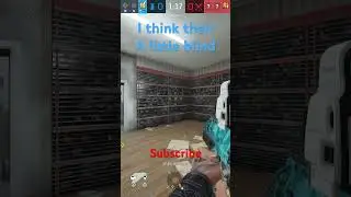 #rainbowsixsiege #trolling I don’t think they know what they’re doing.