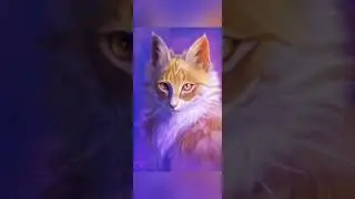 Клип 