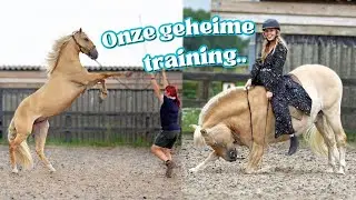 Met deze PAARDEN SHOW willen wij jullie VERRASSEN! 🌟🐴
