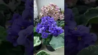 Обзорчики 28.04 ч.3