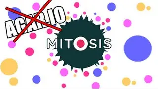 empiesa una serie de mitosis