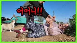 치매시어머니랑 말싸움하다가 벌어진 일