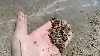 Дикие пляжи в окрестностях Керчи)