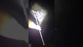 First time out on the Ohio River Stout Ohio sandy springs campground #shorts #short #shortvideo