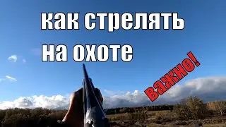 Как метко стрелять на охоте! I Что я понял после многих лет стрельбы влет.