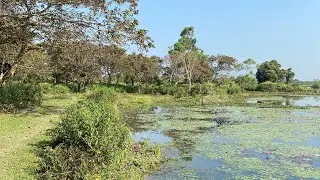 Sikiajhora boat ride | Dooars
