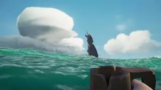 В первые пират вышли в открытое море....