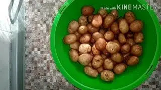 🦉Специально покупаю МЕЛКУЮ КАРТОШКУ и готовлю потрясающее блюдо.