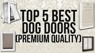 Top 5 Best Dog Doors (Premium Quality)