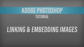 Adobe Photoshop – Linking and Embedding Images