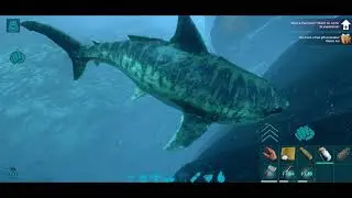 Nemu hiu nih.. di apain ya.? - ark survival mobile