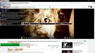 KENTEK смотреть 7 САМЫХ СТРАШНЫХ СЛУЧАЕВ ПАРАНОРМАЛЬНОГО СНЯТЫЕ НА КАМЕРУ, ГДЕ ЕСТЬ СОБАКИ