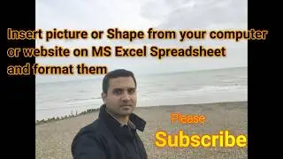 Insert Picture or shape from your computer or website on MS Excel Spreadsheet and format them