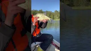 Two (2) HUGE catches