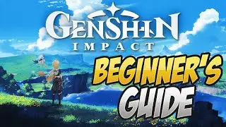 Genshin Impact Beginner's Guide! What You NEED To Know!