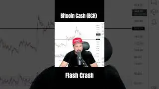 Bitcoin Cash Crash