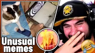 PUTUPAU REACTS to UNUSUAL MEMES COMPILATION #4