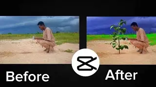 Capcut Toturial: Capturing the magic of growing plant