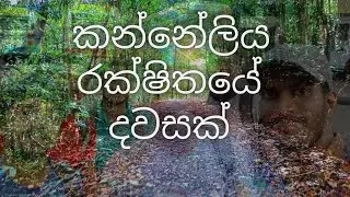 Trip to kanneliya forest/ hiking kabbale kanda