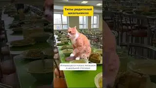 Узнал себя? Признавайся в комментариях, какой ты тип? 😉