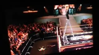 WWE somersault double foot stomp from top of ladder to outside of the ring.on ray mysterio LWA