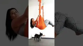 Quando a Gaia Maria resolve participar do meu treino de Pilates.Teste de concentração constante!
