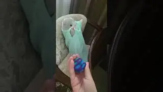 Создаём красивый дизайн для детей #дети #пластилин