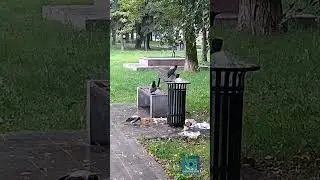 Потуссовались и разлетелись 