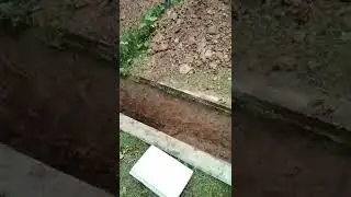 Новый копчик))