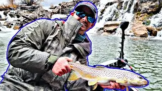 Spring Brown Trout Under WATERFALLS!- Snake River, Idaho