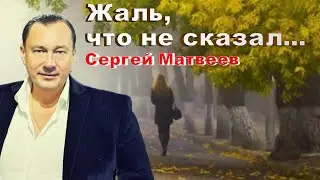 Сергей Матвеев - Жаль, что не сказал...