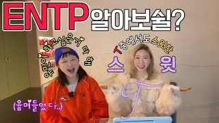 MBTI 알아보쉴?- ENTP 인간 비타민 윰쌤 섭취해봄  - ENTP 친구/연인 사귀기를 원한다면 필수시청 (ENTP-A)