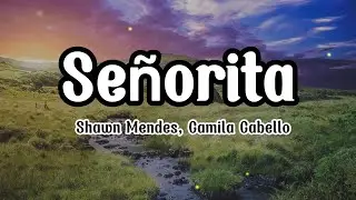 Shawn Mendes, Camila Cabello - Señorita (Lyrics/Letra) 
