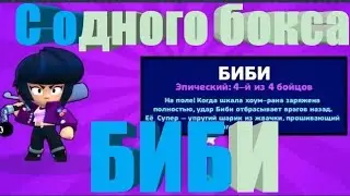 ШОК! ВЫПАЛА БИБИ С ОДНОГО БОКСА!!! НЕ КЛИКБЕЙТ!!!