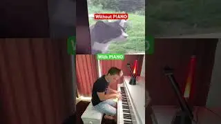 Duet with a sad cat🐱