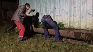 Рыбалка удалась