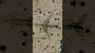 Crash Airplane 