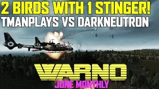 Two Birds With One Stinger - Tmanplays vs Darkneutron WARNO June Monthly