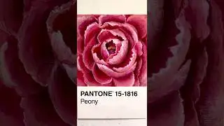 Día 35 del reto Pantone 🎨✨️ | #art #arte #painting #gouache #pantonechallenge