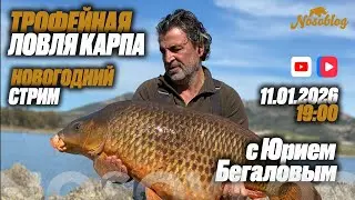 Cтрим с Юрием Бегаловым о трофейном карпфишинге!