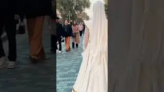 МОЙ МИР